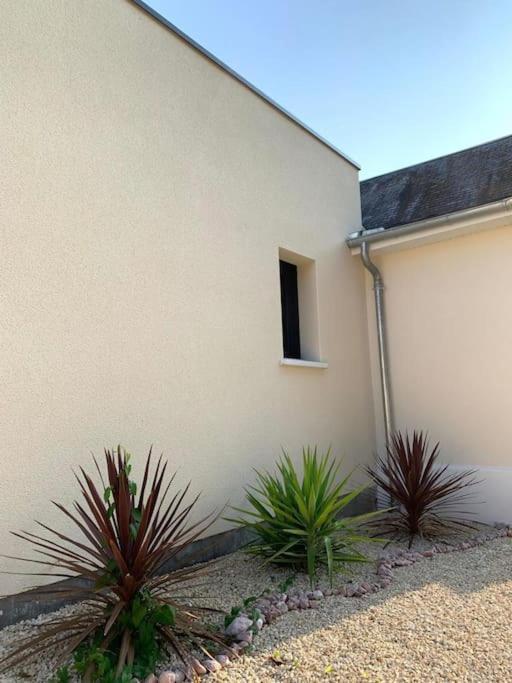 Villa Chic 3 Chambres ,2 Sdb Châtellerault Esterno foto